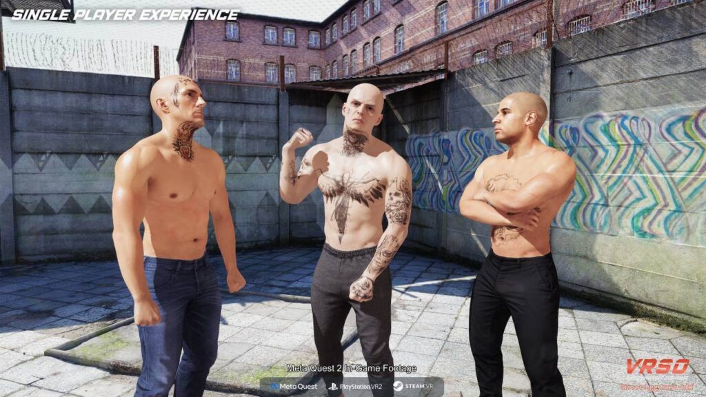 VRSO: Bare Knuckle Fighting